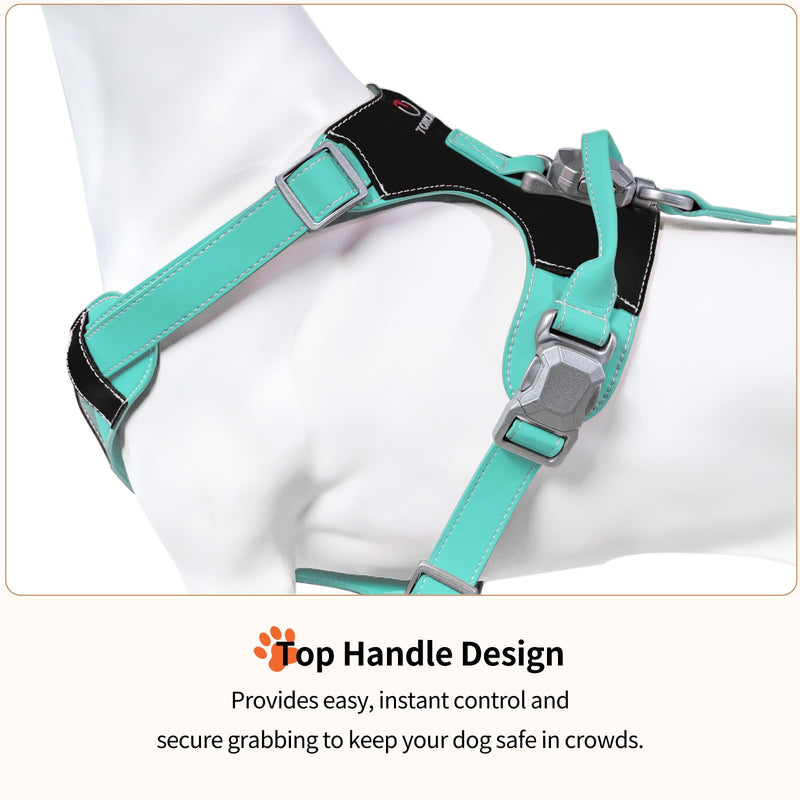 Magnetic Dog Harness and Leash Set with Quick Release Buckle, Easy On & Off Faux Leather Puppy Harness with Leash, Dog Vest Harness with Handle for Medium, Large Sized Dog Mint Blue - PawsPlanet Australia
