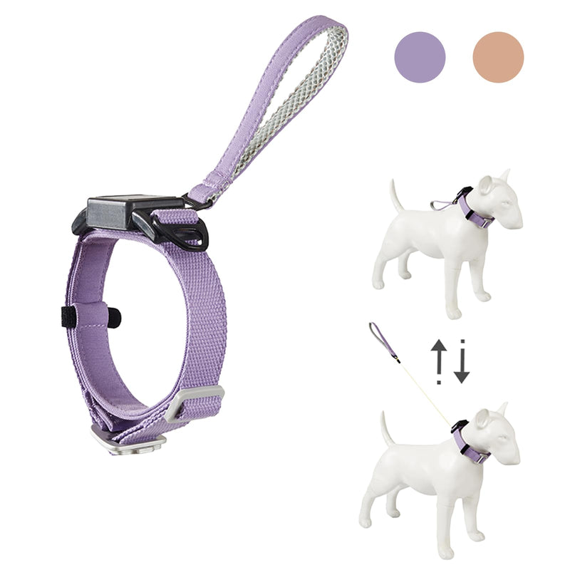 Retractable Dog Leash Collar for Small Medium Dogs - Chew Resistant Kevlar Rope, 5FT Silent Auto-Retraction - 2025 One-Piece with Cotton Padded Adjustable Neck (Purple, M) Purple - PawsPlanet Australia