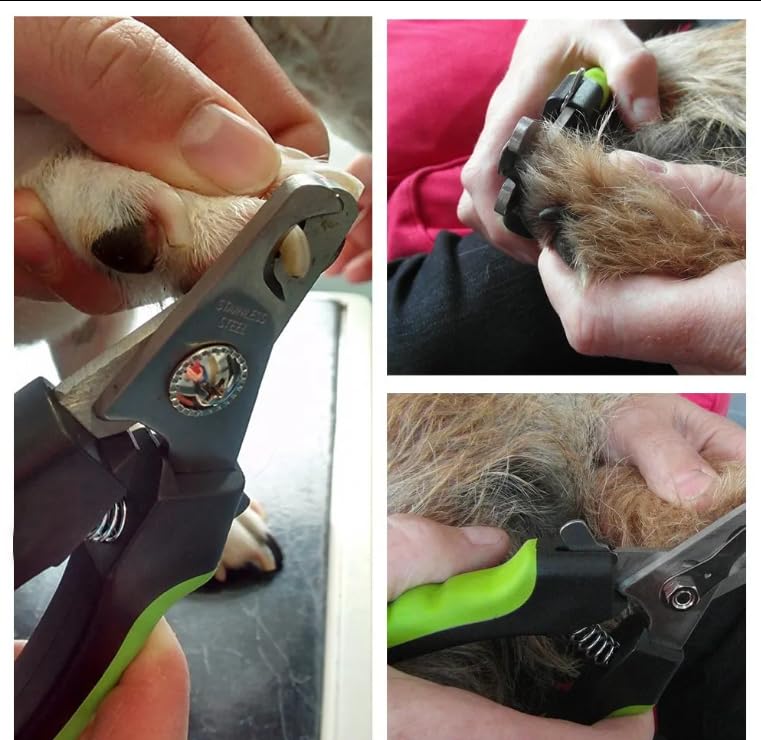 CHARLIE & BUDDY Cat Nail Clipper – Dog Nail Clippers and Grooming Tool for Cats and Dogs, Easy Grip Dog Clippers for Grooming, Safe Pet Nail Trimming Solution - PawsPlanet Australia