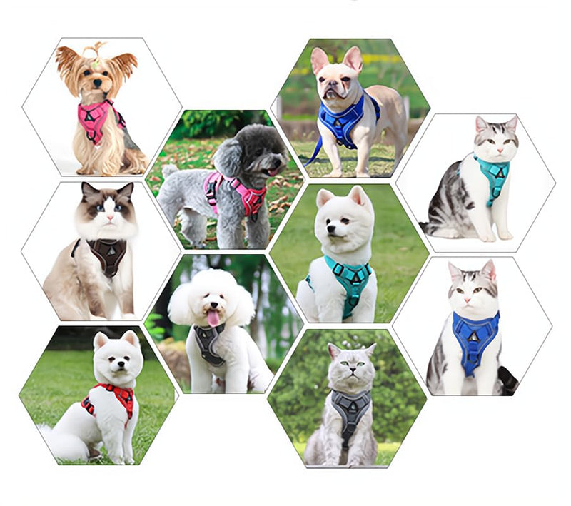 Puppy Harness,Cat Harness and Lead Set,No Pull Dog Cat Harness,Soft Mesh Breathable Reflective Puppy Cat Dog Vest Harnesses for Small Dogs Cats (Lake Blue, Small) Lake Blue - PawsPlanet Australia