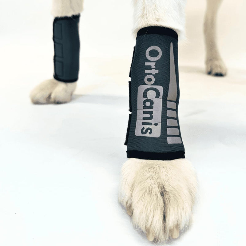 Ortocanis - Dog Leg Brace - Front Leg Brace for Dog - Arthritis, Ligament Injuries, Tendon Injuries or Agility Dogs - Made of Neoprene - Size XXS 5-8 cm