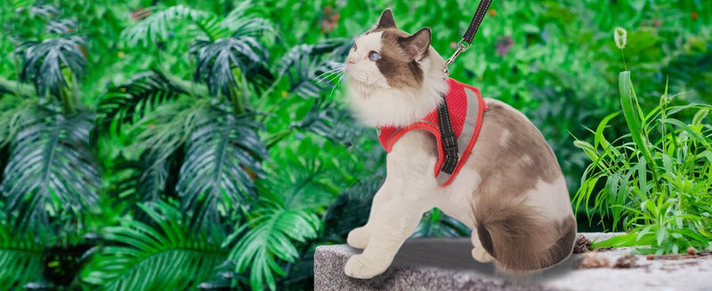 Cat Harness and Leash for Walking, Escape Proof Soft and Breathable Adjustable Vest Harness for Cats, Lightweight Easy to Control Medium Dog Kitten Harness, Comfortable Outdoor Jacket M (Chest: 12" - 14") Red - PawsPlanet Australia