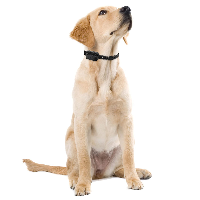 Educator Brand Only Contact Points Fits E-Collar Remote Dog Training Collars, Titanium, Long 3/4-Inch Long - 3/4"