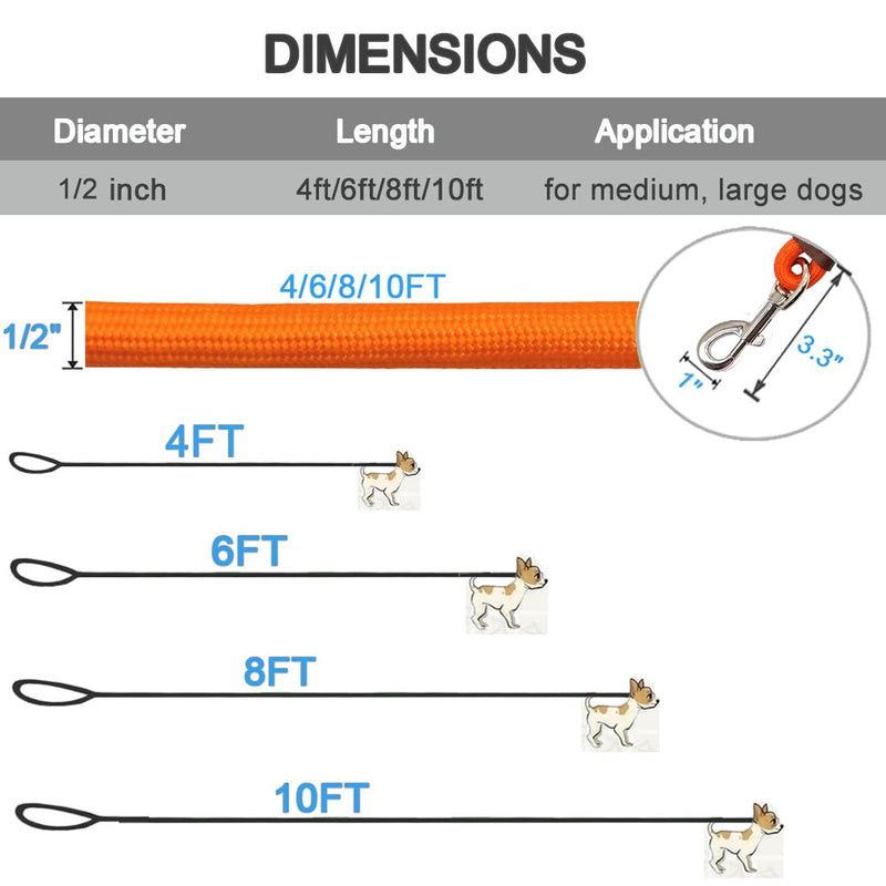 MayPaw 4/6/8/10 FT Dog Lead, Classic Solid Colours, Strong Nylon Rope Dog Lead Reinforced with Leather Tailor Connection Heavy Duty Silver Clasp (10ft*1/2", Orange) 10ft*1/2"