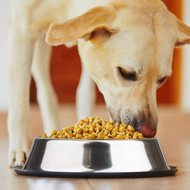 WEDAWN Stainless Steel Dog Bowls,Dog Dishes 8oz 16oz 26oz 40oz, Cat Bowl Water and Food with Rubber Base for Small/Medium/Large Dogs, Cats, Puppy Rabbit and Kitten 6 Cup/40 oz Silver/2Pack - PawsPlanet Australia