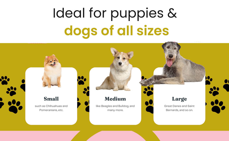Dog Training Starter Kit for Puppies – Magnetic Treat Pouch & Potty Training Bell