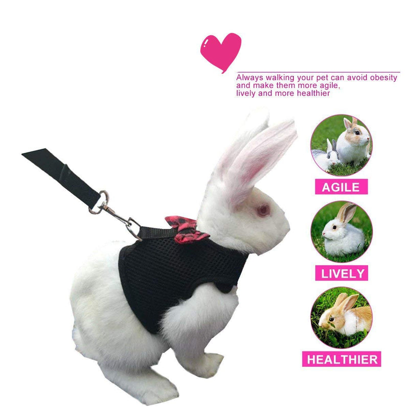Rabbit Harness with Leash Adjustable Soft Mesh Vest Harness for Bunny Kitten Guinea Pig Rat (L, Black) L - PawsPlanet Australia