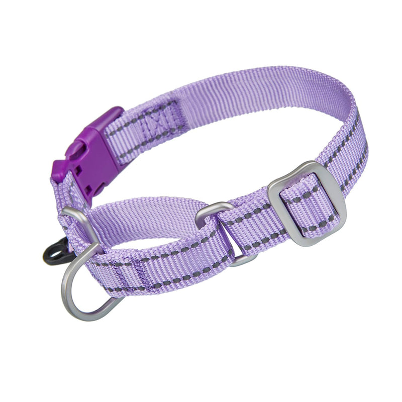 Reflective Martingale Collar for Dogs with Quick Snap Buckle Anti-Pull Nylon Safe Slip Collars for Easy Walking,Lilac,Small Small (Pack of 1) Lilac