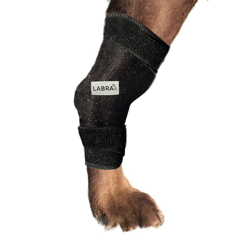 Labra Dog Canine K9 Ice Heat Cold Hot Pack Therapy Compression Leg Wrap - Pain Relief Arthritis Brace for Sprained, Injured Joints, Vet Approved - Large