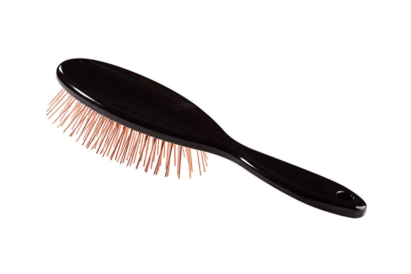Bass Brushes Large/X-Long All Wire Brass Pin Cushion Pet Brush with Acrylic Handle - PawsPlanet Australia