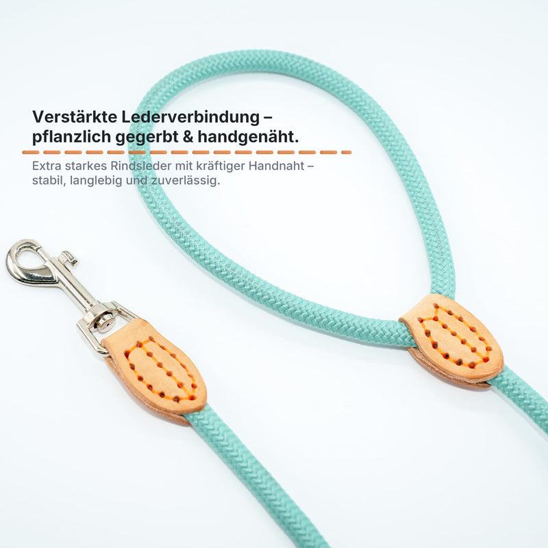 Dog Lead 2 m & 3 m - Robust Round Rope Rope for Small, Medium & Large Dogs, Reflective & Lightweight - Nylon Lead with Safety Carabiner & Leather Handles (2 m x 0.8 cm, Light Blue) lightblue 2m x 0.8cm