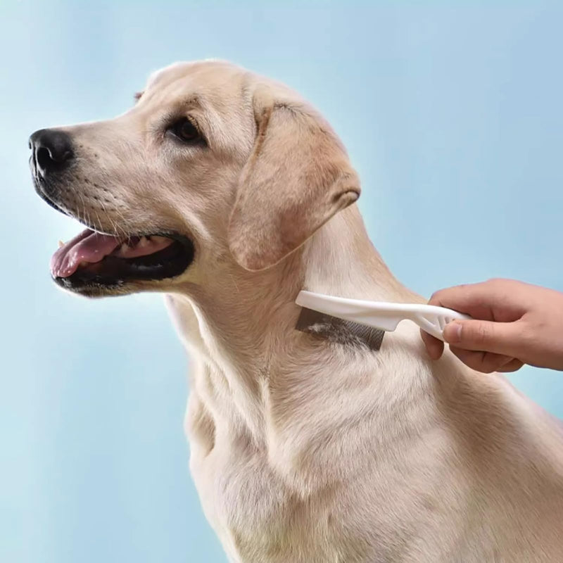 4 in 1 Pet Grooming Kit Dematting tool Stainless Steel Comb Deshedding Brush for Dog and Cat With Long Hair - PawsPlanet Australia