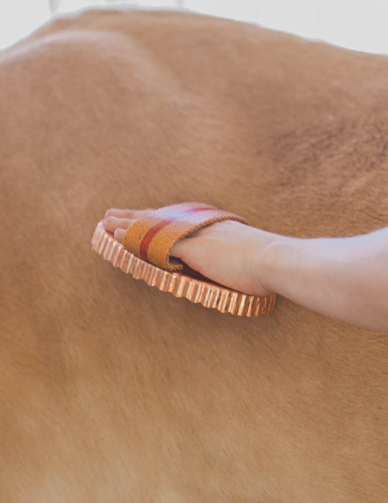 Kawell USA Oval Face Curry Comb Brush for Horse Grooming and Coat Care with Grip Handle - PawsPlanet Australia
