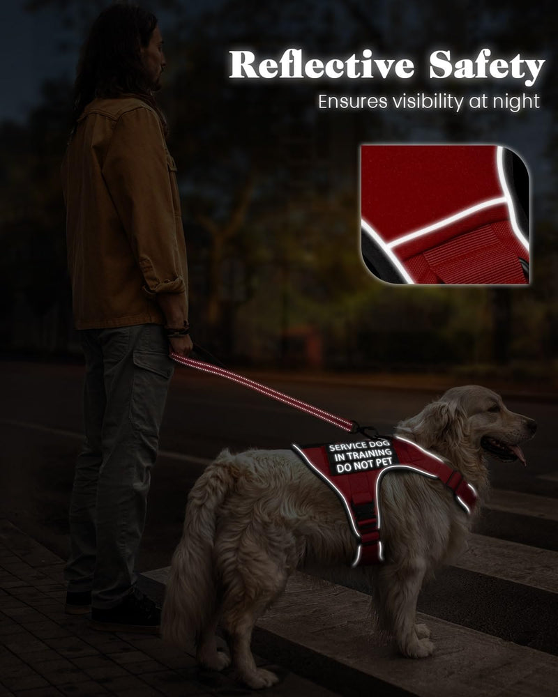Service Dog in Training Vest, Reflective Do Not Pet Dog Harness with Handle and 6 Patches, Full Metal Buckles, for Medium Dogs Training Walking Small (20-45 lbs) Harness-Brave Red - PawsPlanet Australia