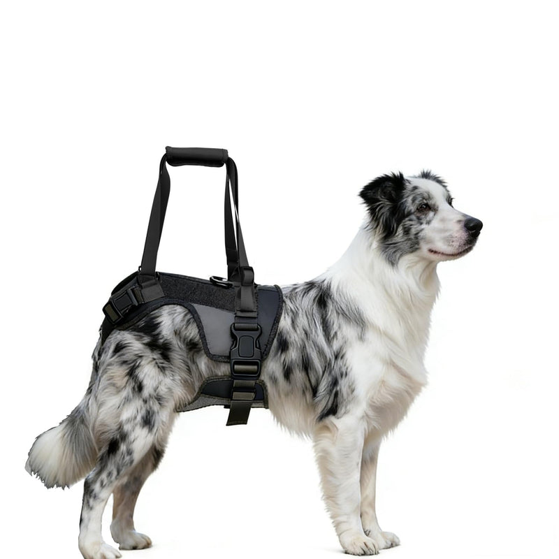 Dog Lift Harness for Large Dogs, Rear Leg Support Sling with Handle for Injury Recovery, Post-Surgery Rehab, Senior Dogs(M) M