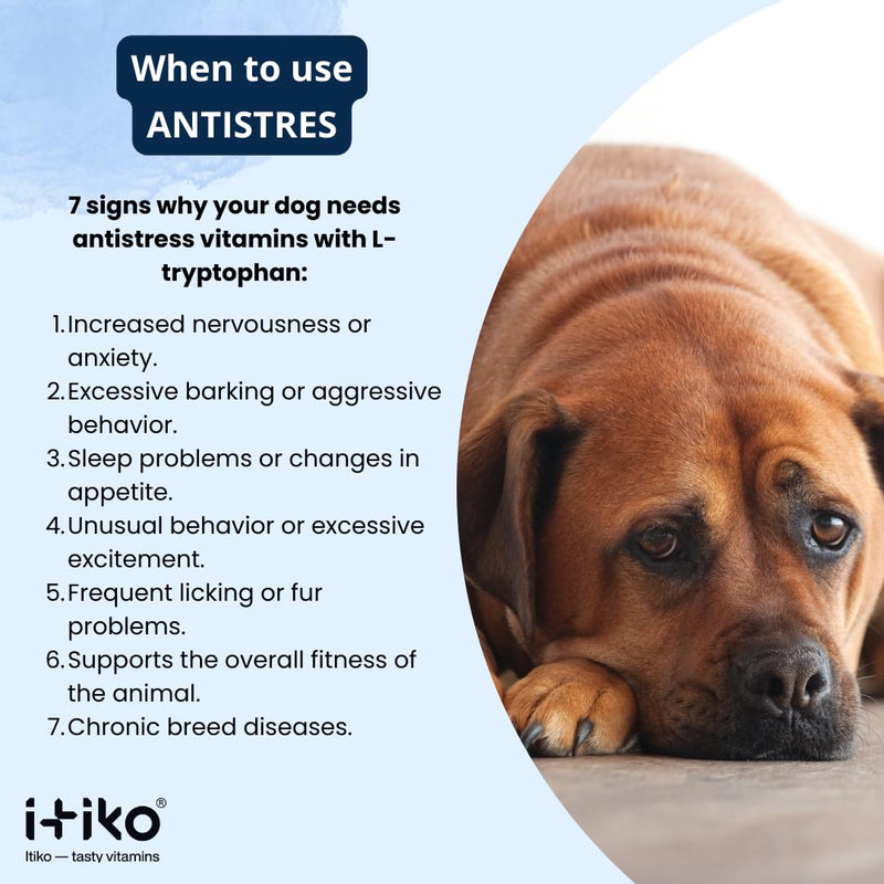 Vitamins for Dogs | Tasty Calming Supplement for Dogs | Tranquilizer for Dog | Supports Nervous System, Reduces Barking, L-Tryptophan