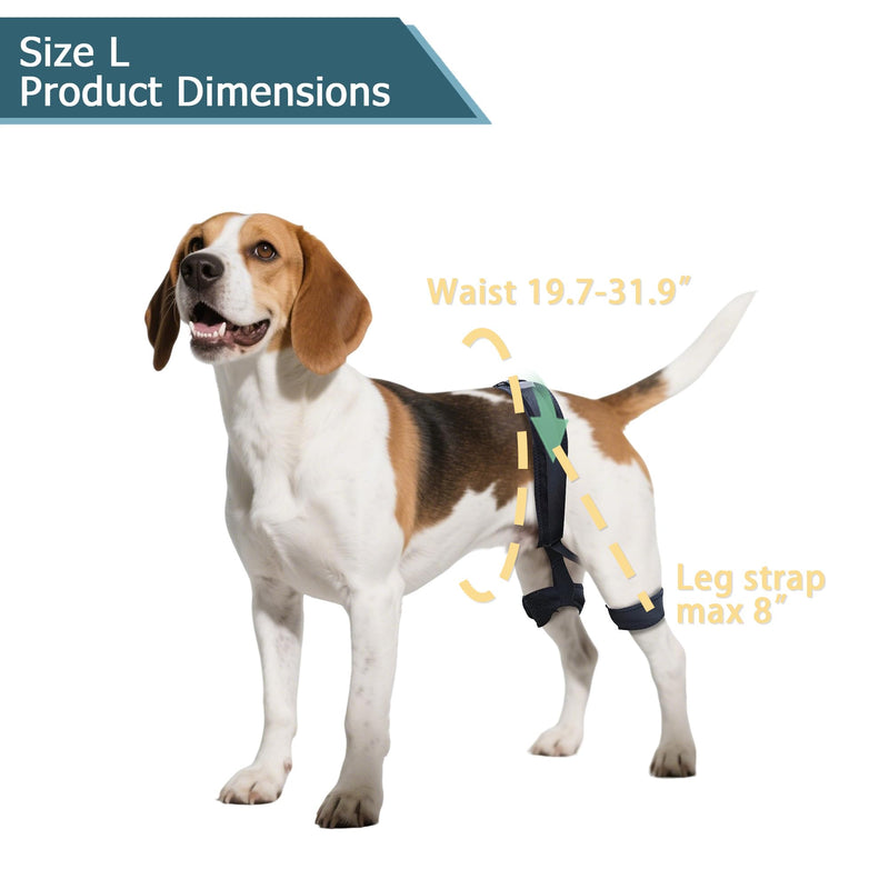 Adjustable Dog Leg Brace for Hip Dysplasia,Breathable & Supportive Dog Hip Brace for Pain Relief, Preventing and Improving Joint Dysplasia Hip Brace for Dogs,L Large