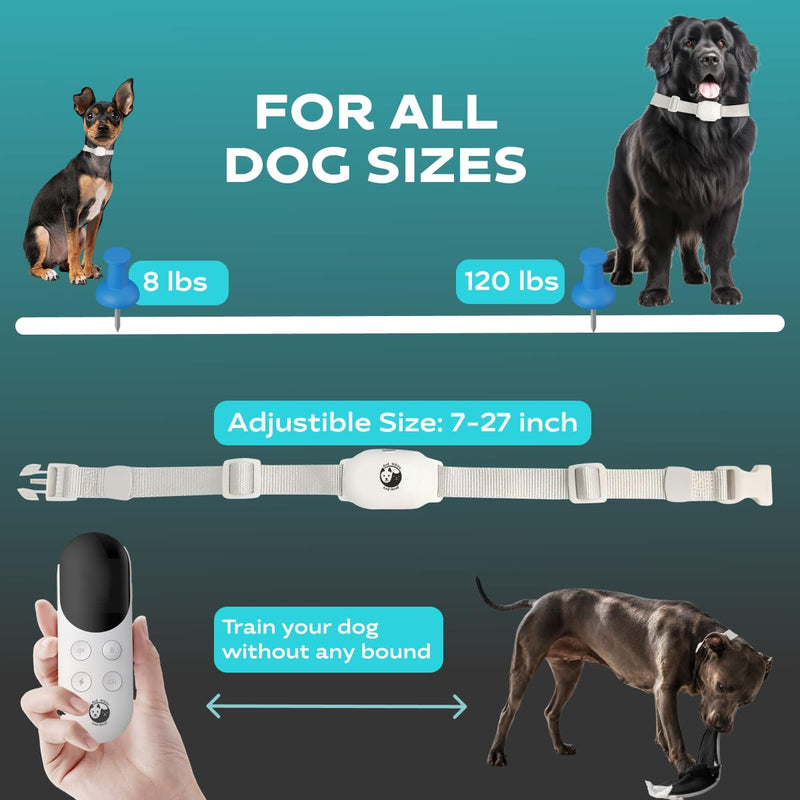 Dog Shock Collar with Remote, Rechargeable Training Shock Collar for Small Medium Large Dogs 1000Ft Control Range, Waterproof Electric Bark Collar with Beep, Vibration, Safe Shock White - PawsPlanet Australia