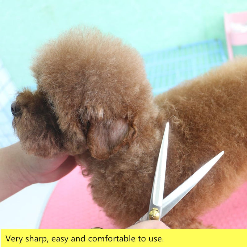 HASHIMOTO Dog Scissors for Large Dog Grooming, 8.0 inch Straight Shears - Light Weight, Balanced, Ergonomic Design for Professional Pet Groomers or Family DIY Use 8.0" - PawsPlanet Australia