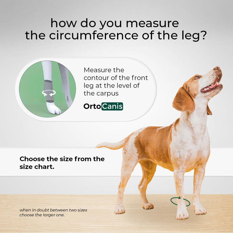Ortocanis - Dog Leg Brace - Front Leg Brace for Dog - Arthritis, Ligament Injuries, Tendon Injuries or Agility Dogs - Made of Neoprene - Size XXS 5-8 cm