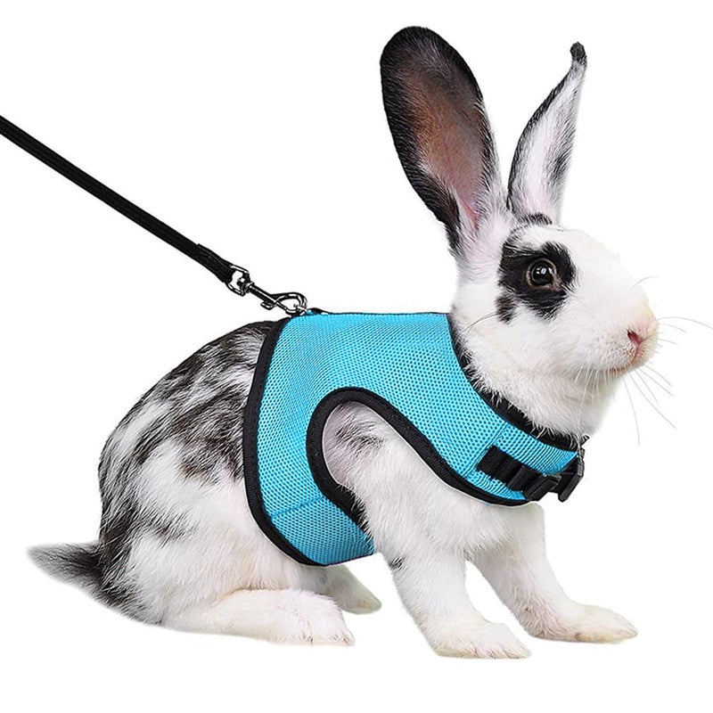 Rabbit Leash and Harness Set Escape Proof, Bunny Vest Hamster Leash Set Mesh Eescape Proof Walking Training for Small Animal Pets Rat Squirrel Ferret Guinea Pig Bunny,Blue L Light Blue L Chest 7.8-11.8",For Adult Rabbits - PawsPlanet Australia