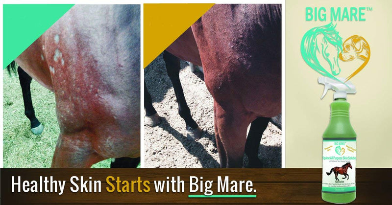 Big Mare All Purpose Horse Skin & Wound Care 32oz | First Aid: for Girth Itch, Insect & Fly Bites, Crud, Itchy Manes & Tails & Hair Loss | Vet Approved & Recommended - PawsPlanet Australia