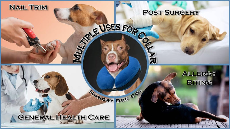 Hungry Dog Co- Premium Inflatable Dog Collar for Dogs and Cats - Helps in Pet Recovery - Comfortable and Safe for Your Pet - Soft E-collar – GREY, MEDIUM (10”- 14” neck) Medium (10”- 14” Neck) - PawsPlanet Australia