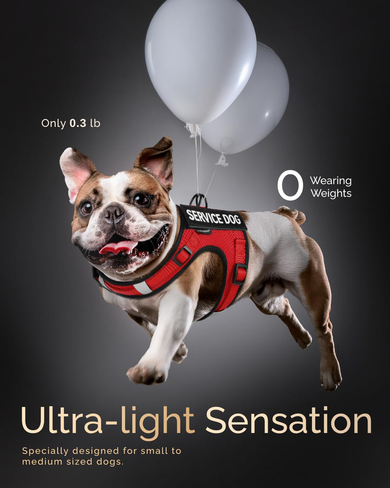 FAYOGOO Service Dog Vest for Small Dogs - Breathable Air Mesh Service Dog Harness with Leash & 6 Patches, Adjustable No-Choke Design for Walking, Travel & Public Access Red S - PawsPlanet Australia