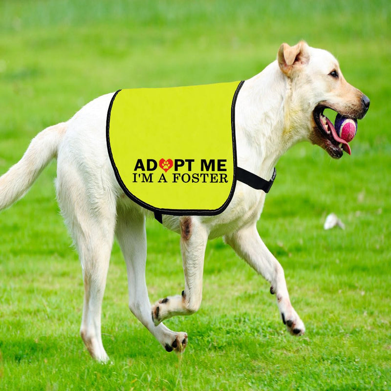 CENWA Adopt Me I’m A Foster Dog Jacket Vest Adopt Me Dog Jacket Vest New Puppy Dog (I'm A Foster L) I'M A FOSTER L