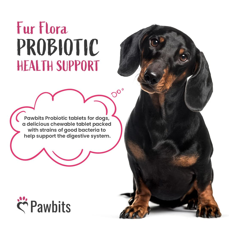 180 Canine Probiotics & Prebiotics Tablets for Dogs – 5 Billion CFU Tablet Chicken Flavour Chewable Dietary Supplements -10 Strain Complex for Digestive Support, Gut Health, Bad Breath & Itchy Skin 180 Tablets - PawsPlanet Australia