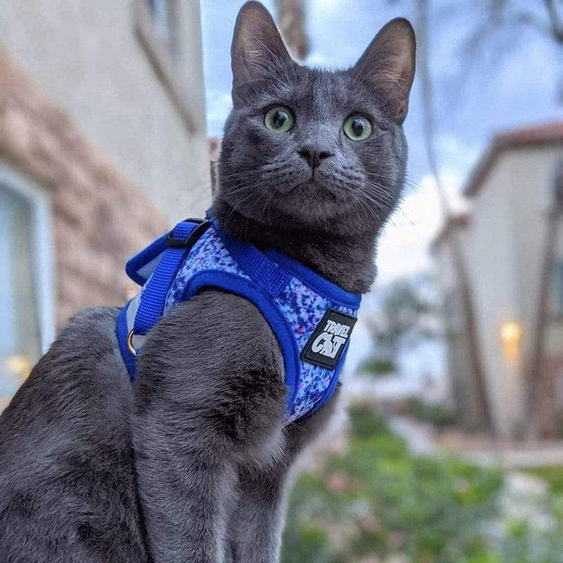 Travel Cat & Stray Cat Harness and Leash Set - Adjustable Fit Mesh Cat Harness and Reflective Strap - Comfort Escape Proof Harness for Cats, Kitten for Outdoor Walking, Hiking (Small, Groovy) Small Groovy Cat - PawsPlanet Australia