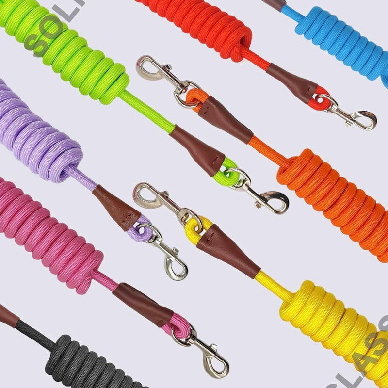 MayPaw 4/6/8/10 FT Dog Lead, Classic Solid Colours, Strong Nylon Rope Dog Lead Reinforced with Leather Tailor Connection Heavy Duty Silver Clasp (10ft*1/2", Orange) 10ft*1/2"