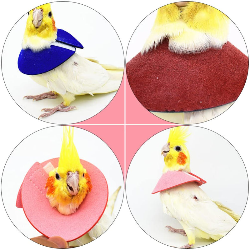 8 Pcs Bird Cone Collar - Parrot -bite Elizabethan Collars, Bird Recovery Collar, Neck Rings Wound Protector for Budgerigar Lovebird Agapornis Fischer Cockatiel Cockatoo - PawsPlanet Australia