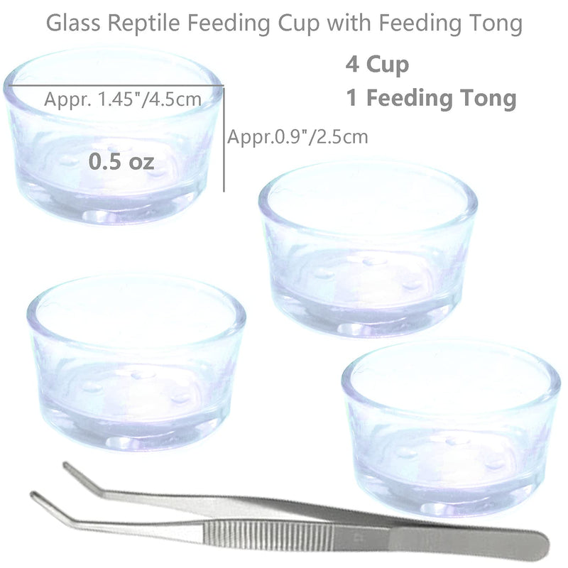 Fuongee Small Reptile Feeding Dish Food Water Bowl Feeder Cup Basin Fit for Nano Small Reptile Spider Small Lizard Scorpion, 4 Pack, 0.5 Oz - PawsPlanet Australia