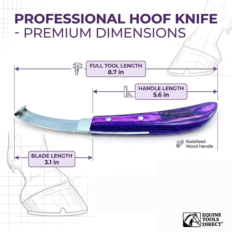 Double-Edge Blade Hoof Knife, J2 420 Magnetic Stainless Steel, Right-Hand, Ergonomic Purple Handle, Professional Farrier Trimming Tool