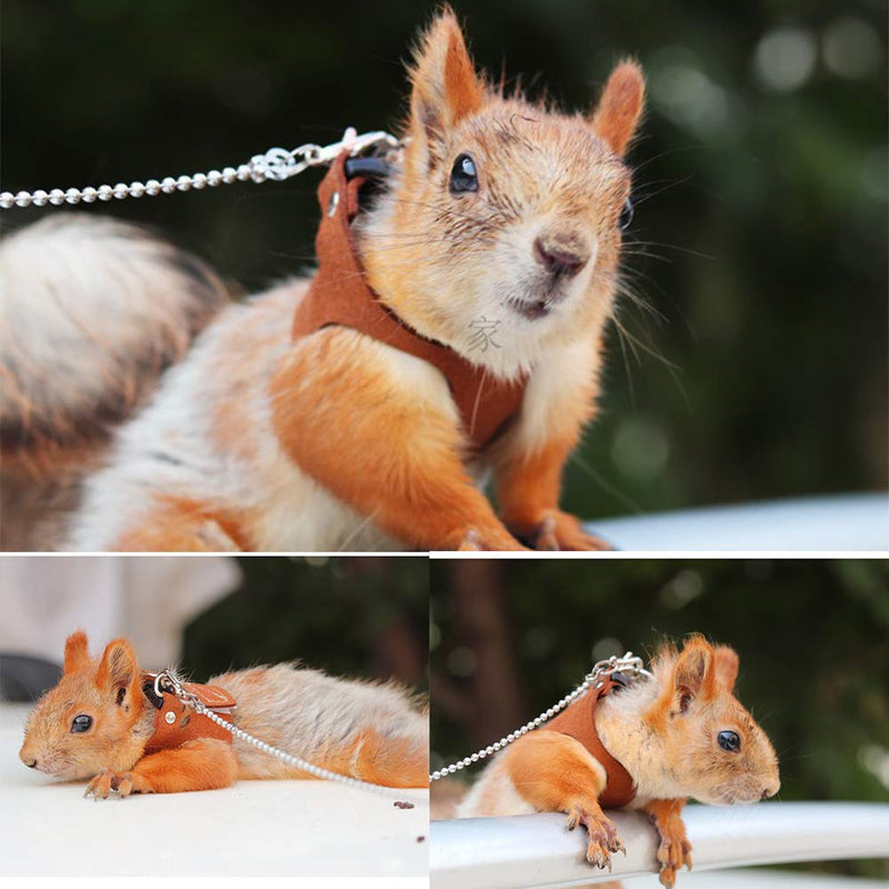 Squirrel Traction Rope Strap Anti-Biting Chain Rope, Adjustable Vest, Small Animal Walking Harness with Lead Leash, Hamster Gerbil Rat Mouse Ferret Chinchilla Small Animal Walking Leash Black - PawsPlanet Australia