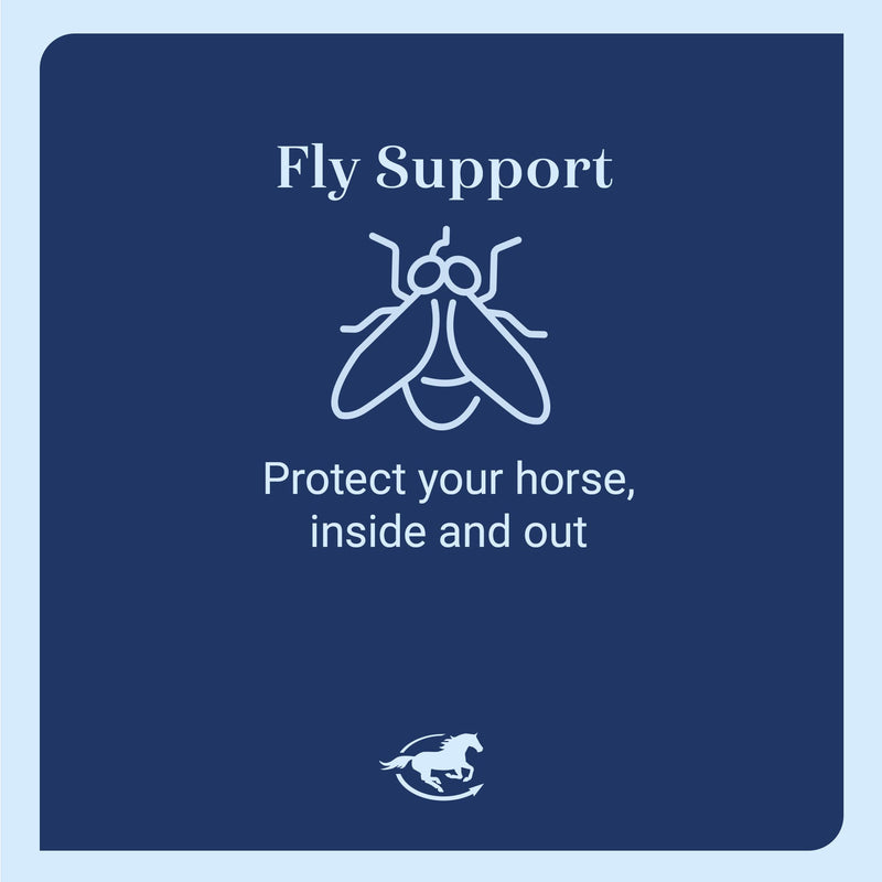 Deluxe Relaxed Fit Fly Boots for Horses | Soft Comfortable Elastic | Durable Mesh | Protects Horse's Legs from Flies and Insects | Sold as a Pair (2)