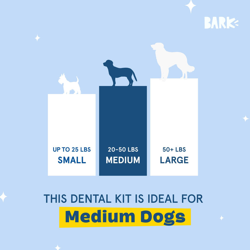 Barkbox Bright Original Dog Dental Kit, 30 Teeth Cleaning Chew Sticks & Toothpaste - Medium Breeds - PawsPlanet Australia