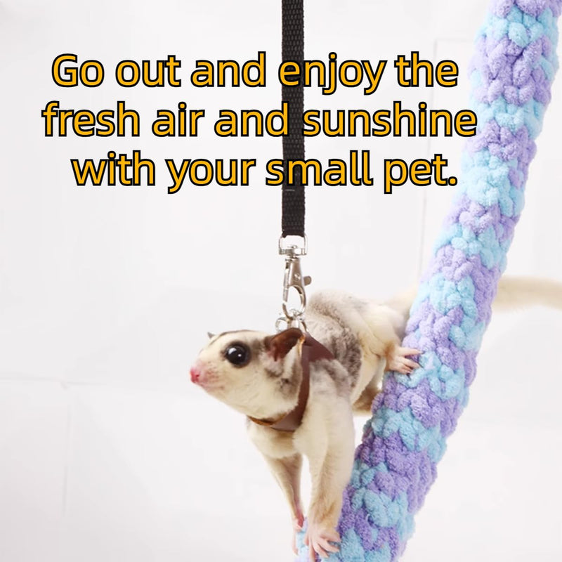 Sugar Gliders Harness Leash Set - 3 Pcs Training Walking Gear Small Animal Adjustable Traction Ropes Vest for Squirrels Hamsters Rats Gerbils Reptiles Bearded Dragon Lizards Orange 01 Orange - PawsPlanet Australia