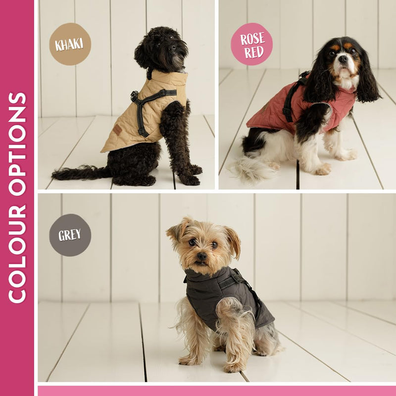 Pawbits Waistcoat for Small Dogs - Fleece-Lined, Warm, Reflective Waistcoat with Built-in Harness for Dogs - S, M, L, XL, XXL, XXXL - Designed for Small Dogs XX-Large Rose Red - PawsPlanet Australia