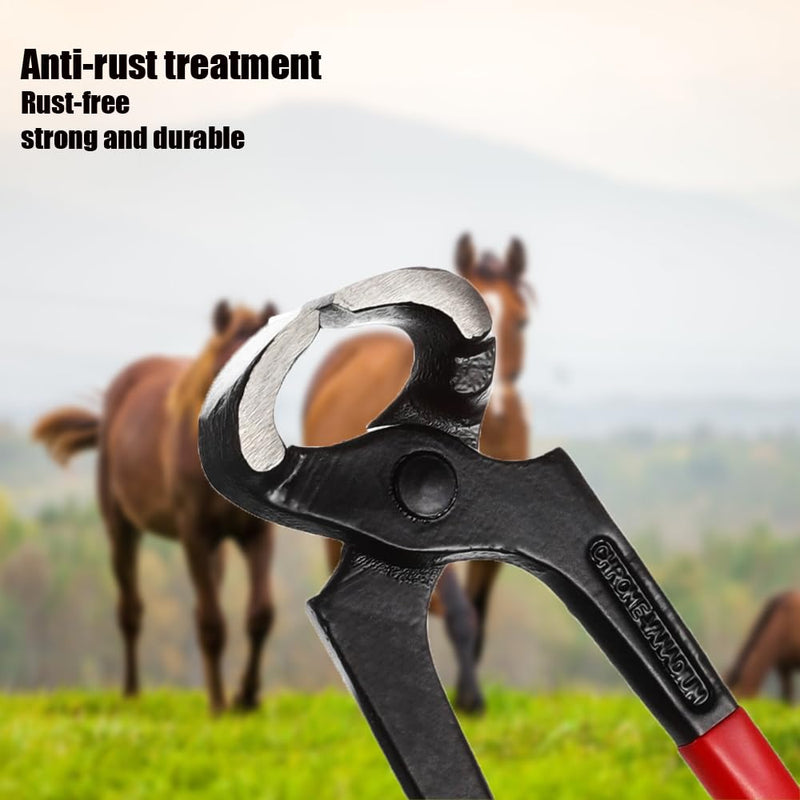 Hoof Nipper, 10" Heavy Duty Farrier Nippers with Plastic Grip Hoof Trimming Nipper Horse Nail Clipper for Horses,Sheep,Goats,Alpacas