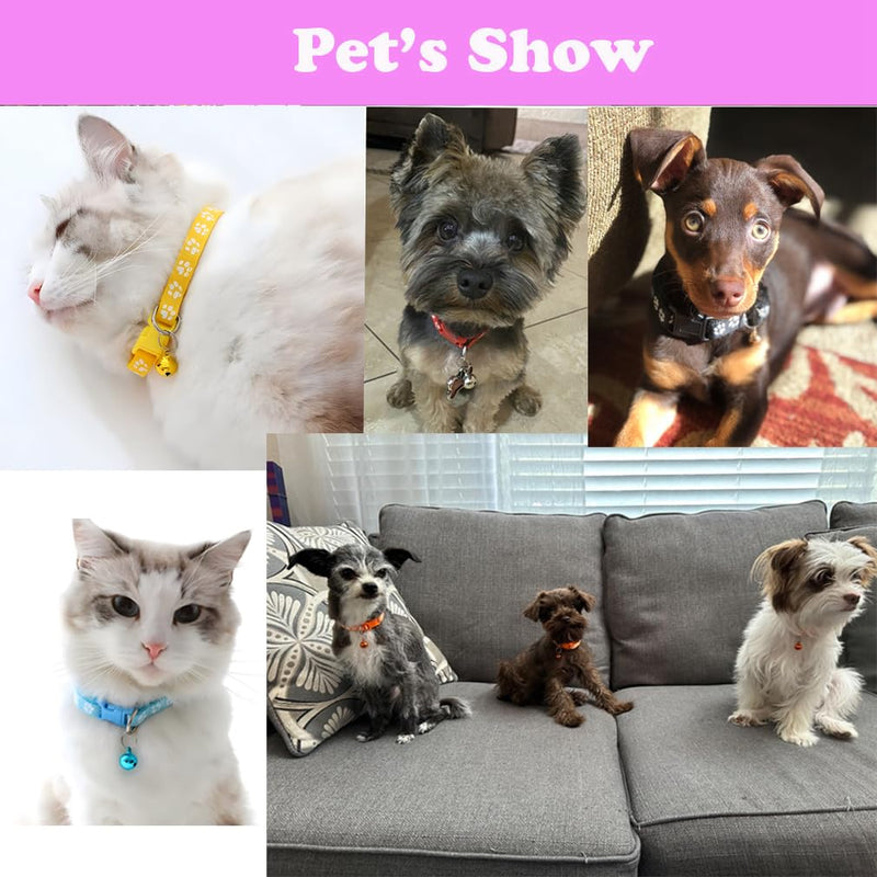 Cat Collars with Bell Leash Set, Nylon Basic Reflective Puppy Collar Boy Girls Paw Print for XXS Xs Small Dog Kitten Pet Animal Tiny,Grey grey Neck 7-12" - PawsPlanet Australia