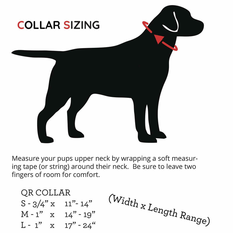 PACKT - Endeavor X3 Waterproof Dog Collar | Made in USA, Odor Proof, 100% Waterproof | Leather-Like Biothane Dog Collar |Rust-Proof Stainless Steel Hardware | 2-Year Chew-Warranty | Pacific-Medium M: [1" x 14"-19"] - PawsPlanet Australia