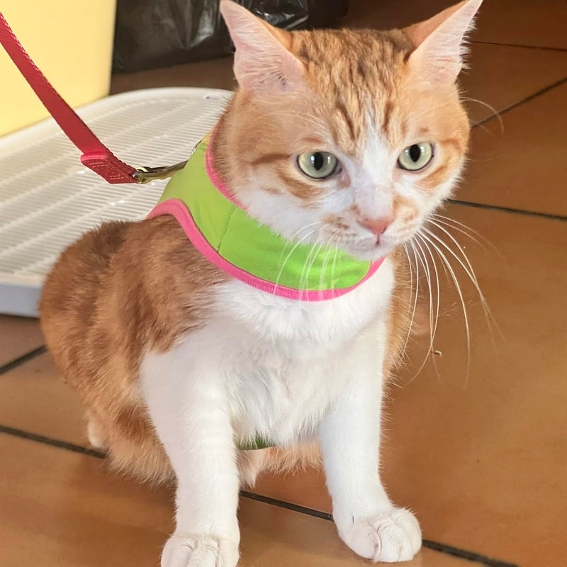 Adjustable Cat Wrap Harness with 6ft Leash Soft Breathable Cat Walking Harness Leads (Green, Small) Green - PawsPlanet Australia