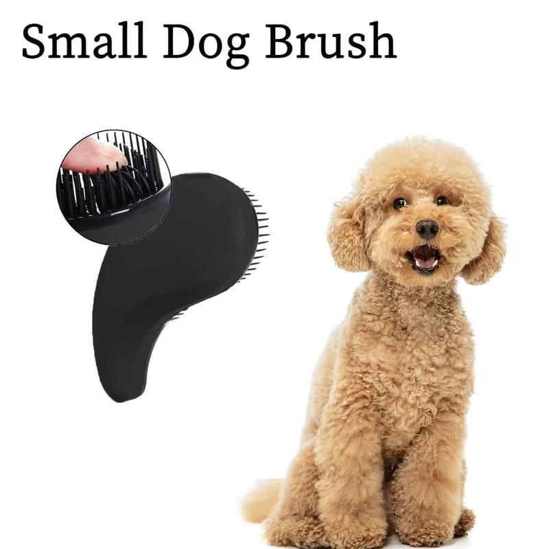 Small Dog Brush- Grooming Tool for Teddy, Yorkies, Maltese, Shih Tzu, Chihuahua - Puppy Hair Brush (Black) Black - PawsPlanet Australia