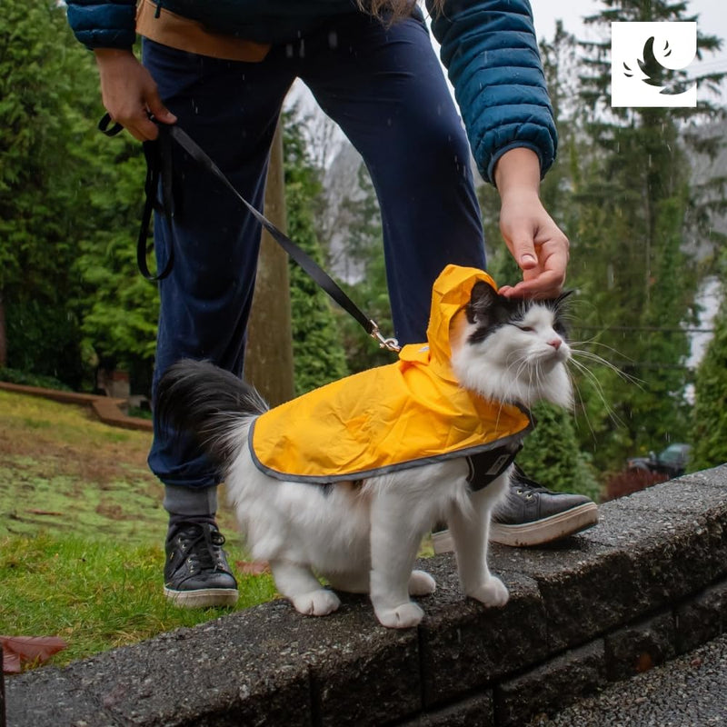 RC Pets Packable Rain Poncho, Dog Coat, Medium, Raindrops