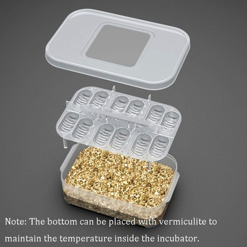 NGe Reptile Egg Breeding Hatchery Box Incubator Tray Container Box for Snake Gecko Lizard (12 Holes) - PawsPlanet Australia