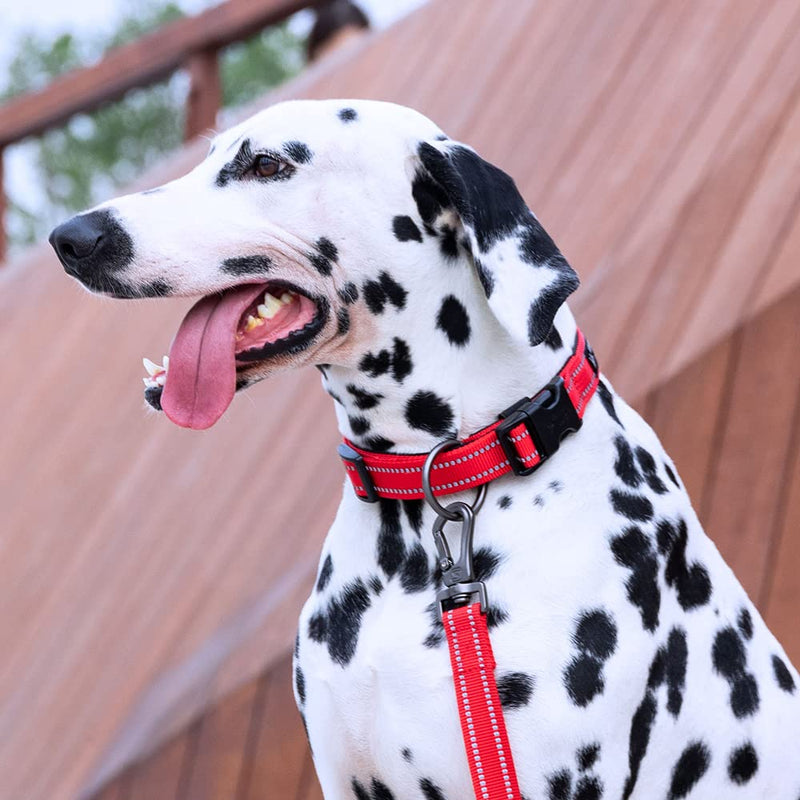 EXCELLENT ELITE SPANKER Reflective Dog Collar Classic Soft Padded Breathable Nylon Adjustable Pet Collar with Quick Release Buckle for Boy Girl Male Female Puppies Small Medium Large Dogs(Red-M) Red - PawsPlanet Australia