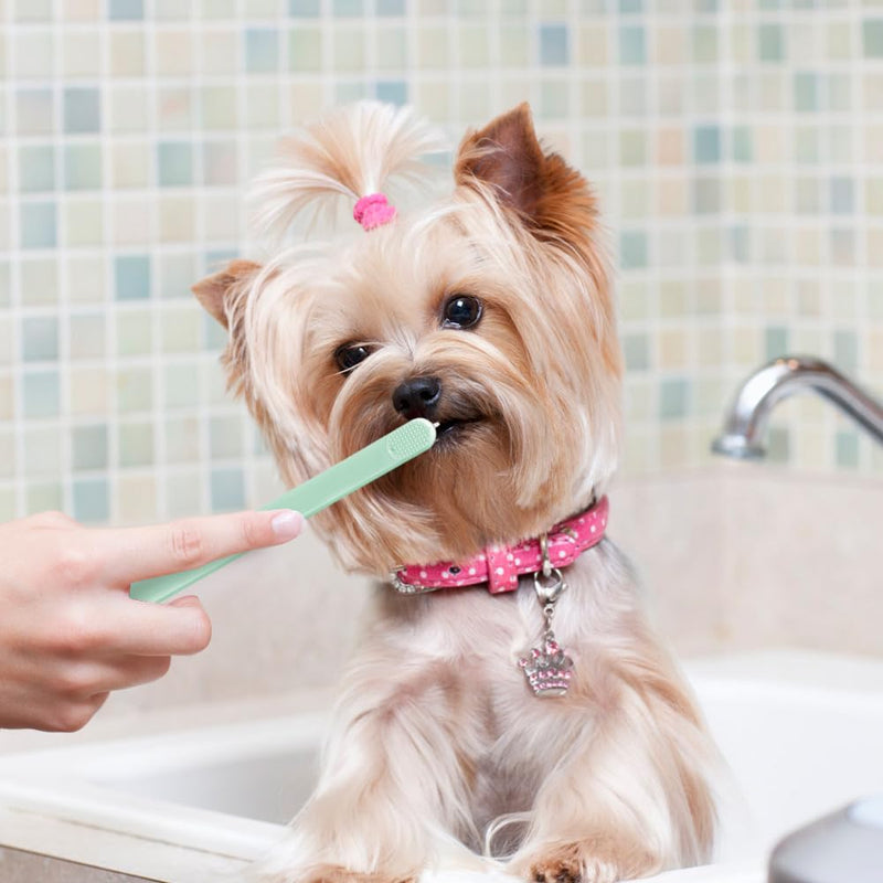 2 x Dog Toothbrushes, Toothbrush for Pets, Cat Toothbrushes with 10,000 Ultra Soft Pet Bristles and Tail Hole for Cats, Puppies, Small Dogs, Sensitive Teeth and Gums