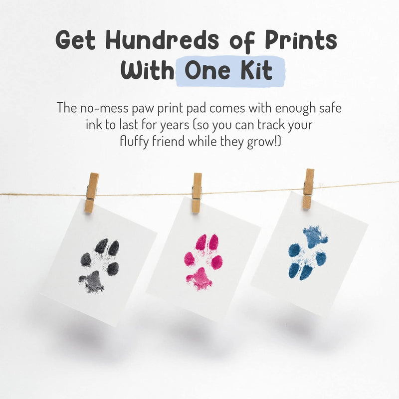 Forever Fun Times Pet Paw Print Impression Kit | Dog Ink Paw Print Kit | Pet Paw Print Kit | an Easy to Use Paw Print Stamp Pad for Dogs | Contains an Ink Pad for Dog Paw Prints That You Can Treasure Small Black - PawsPlanet Australia